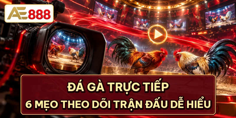 Đá Gà Trực Tiếp - 6 Mẹo Theo Dõi Trận Đấu Dễ Hiểu