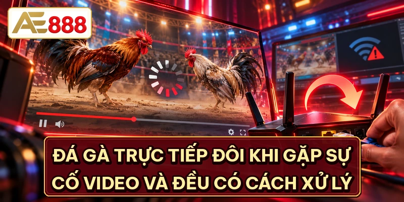 Đá gà trực tiếp đôi khi gặp sự cố video và đều có cách xử lý