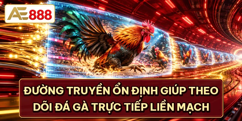 Đường truyền ổn định giúp theo dõi đá gà trực tiếp liền mạch