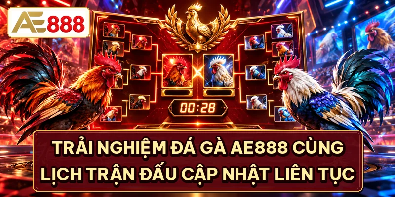 Trải nghiệm đá gà AE888 cùng lịch trận đấu cập nhật liên tục