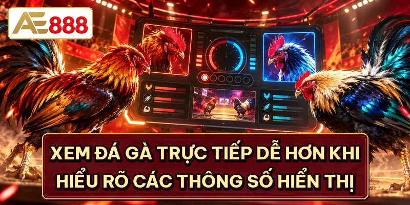 Xem đá gà trực tiếp dễ hơn khi hiểu rõ các thông số hiển thị